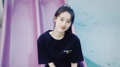 NPC带游客攻打县城事件