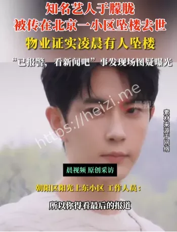 于朦胧坠楼事件