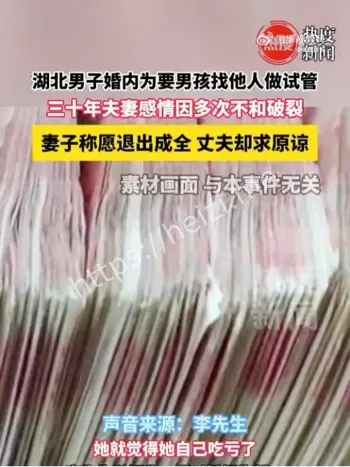 男子婚内为要男孩和他人做试管