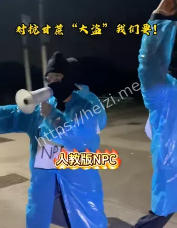 眉山真人版偷甘蔗